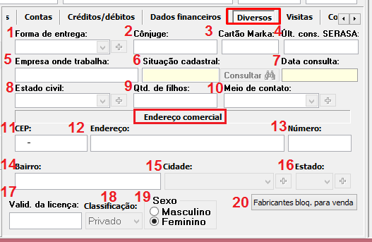 Aba Diversos em cadastro de entidades no VSI Gestão